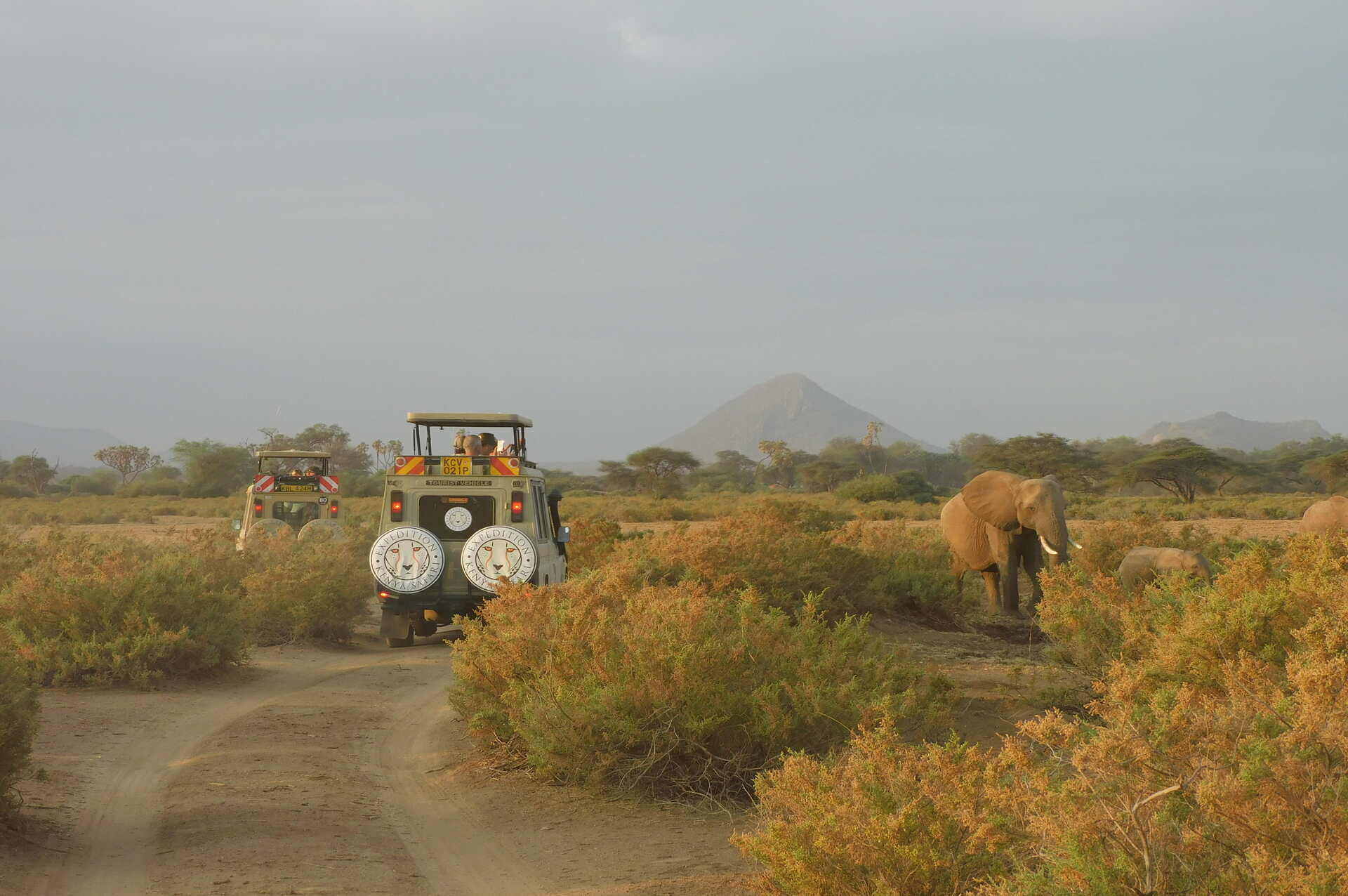 samburu_game_drive